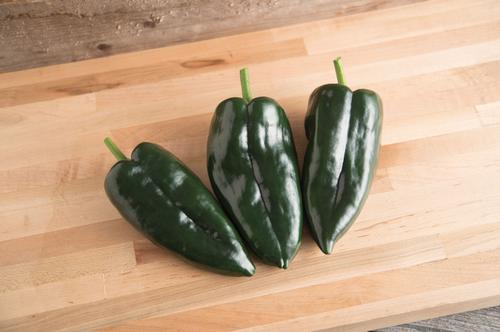 Pepper