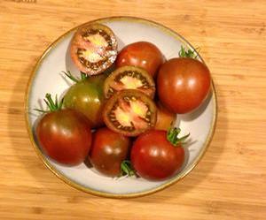 Tomato 'Nyagous' Tomato 'Nyagous'