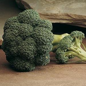 Broccoli 'Arcadia' Broccoli 'Arcadia'