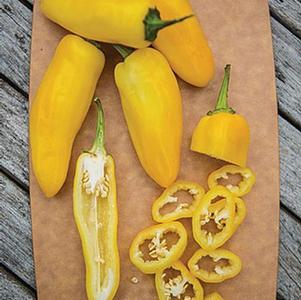 Pepper 'Lemon Dream' Pepper 'Lemon Dream'