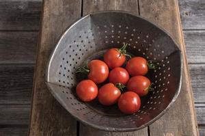Tomato 'Glacier' Tomato 'Glacier'
