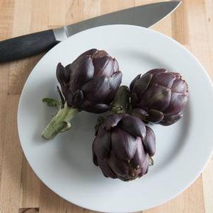 Artichoke 'Colorado Star' Artichoke 'Colorado Star'