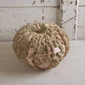 Pumpkin 'Galeux d'Eysines' Pumpkin 'Galeux d'Eysines'