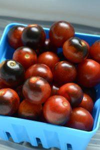 Tomato 'Midnight Snack F1' Tomato 'Midnight Snack F1'