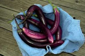 Eggplant