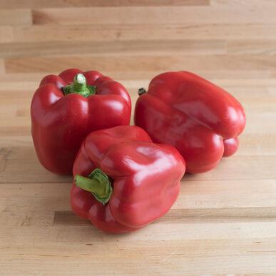 Pepper