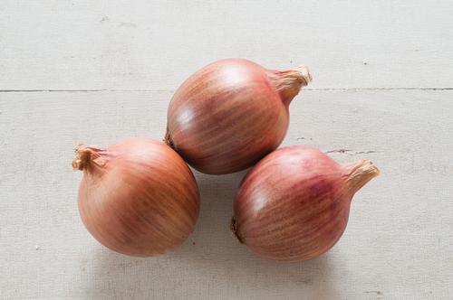Onion