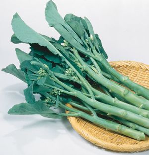 Chinese Broccoli