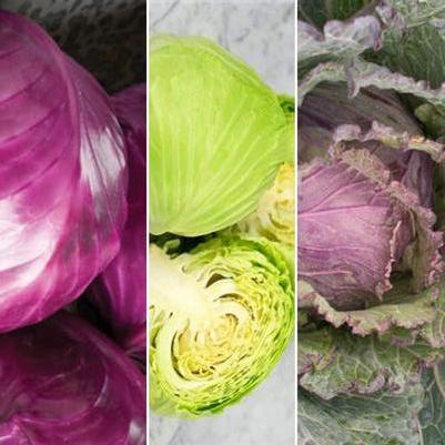 Cabbage Deluxe Mix