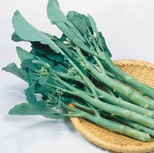Chinese Broccoli Green Lance