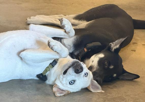Willa and Griffin pause between shenanigans