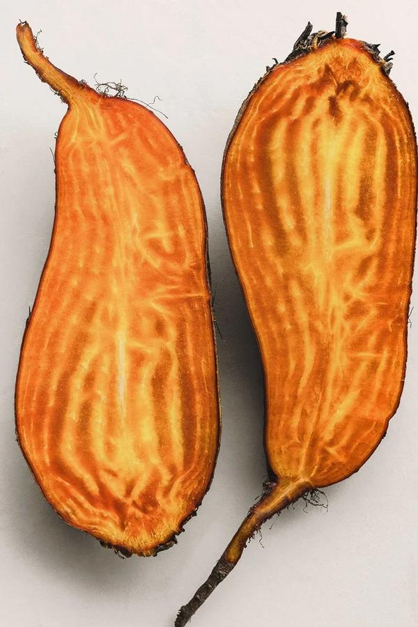 Photo courtesy of Row 7 Seed Co.