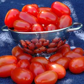 Tomato 'Red Grape' Tomato 'Red Grape'