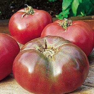 Tomato Cherokee Purple