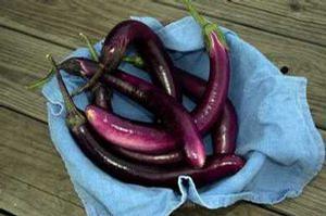 Eggplant 'Ping Tung Long' Eggplant 'Ping Tung Long'