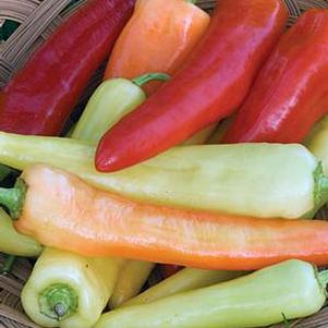 Pepper Sweet Banana