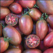 Tomato Black Plum
