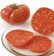 Tomato Brandywine