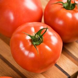 Tomato Celebrity