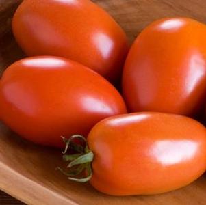 Tomato Amish Paste