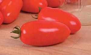 Tomato 'San Marzano' Tomato 'San Marzano'