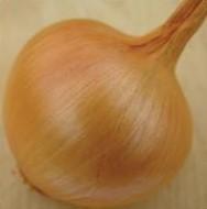 Onion 'Yellow Sweet Spanish'