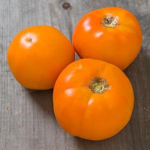 Tomato Chef's Choice Orange