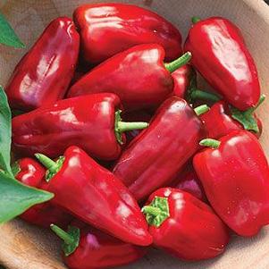 Pepper Sweet Heat