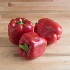 Pepper 'Red Knight' Pepper 'Red Knight'