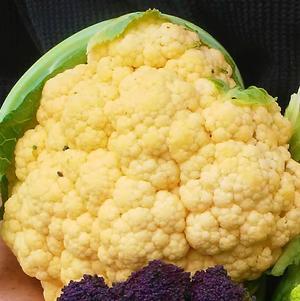 Cauliflower 'Flame Star'