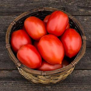 Tomato 'Plum Perfect' Tomato 'Plum Perfect'