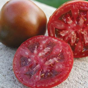Tomato Black Truffle