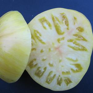 Tomato 'Pineapple Pig' Tomato 'Pineapple Pig'