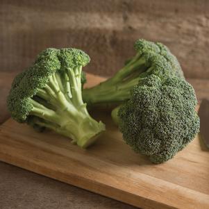 Broccoli 'Green Magic'
