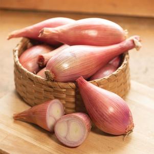 Shallots, banana Creme Brulee