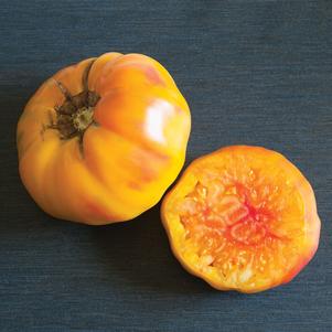 Tomato 'Striped German' Tomato 'Striped German'