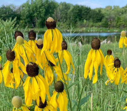 2025 Growing Methods