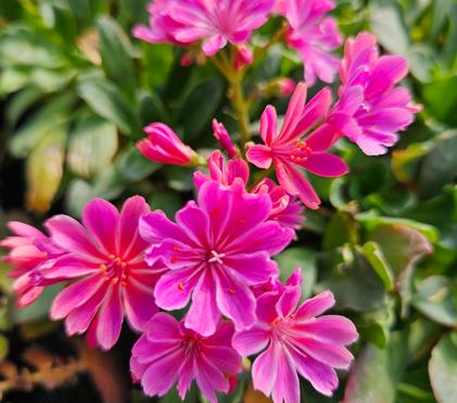 Welcome to our 2025 Season