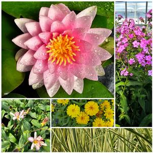 Availability Availability