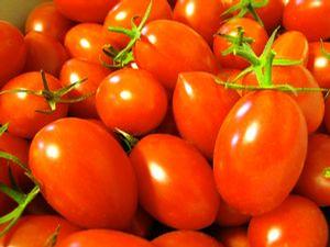 Tomato 'Juliet Hybrid'