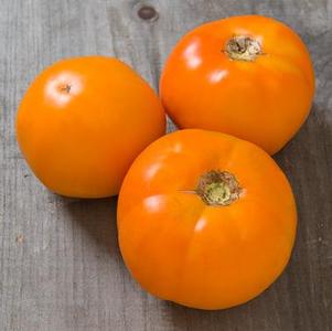 Tomato 'Chef's Choice Orange'