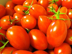 Tomato Juliet Hybrid
