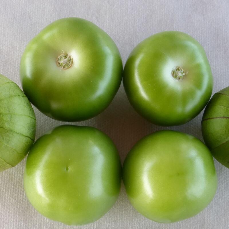 Tomatillo 'Pancho' - photo courtesy of Johnnys