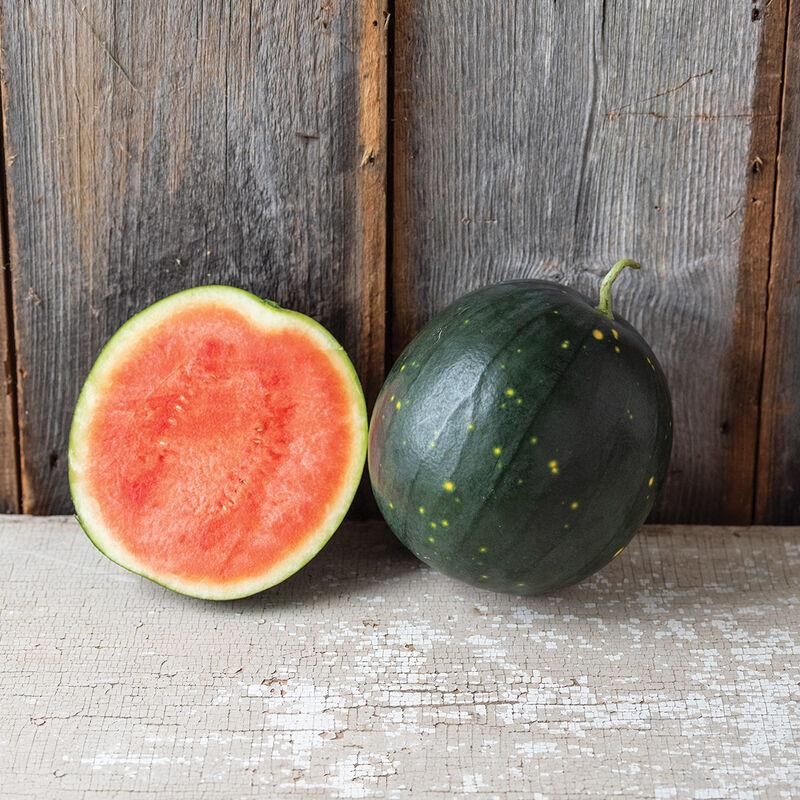 Watermelon 'Century Star' - photo courtesy of Johnnys