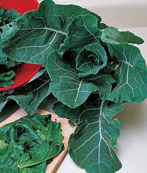 Collards