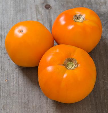 Tomato