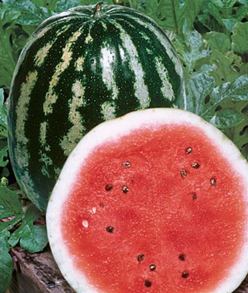 Watermelon