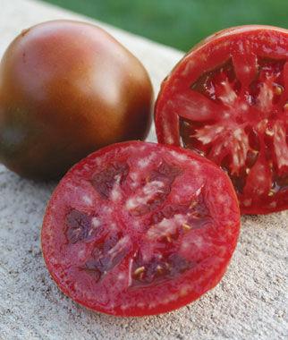 Tomato